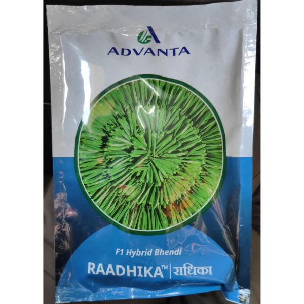 Hybrid Bhendi Raadhika image 2