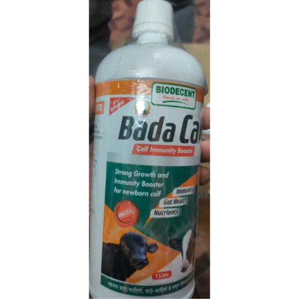 Bada Calf - BioDecent Pharma