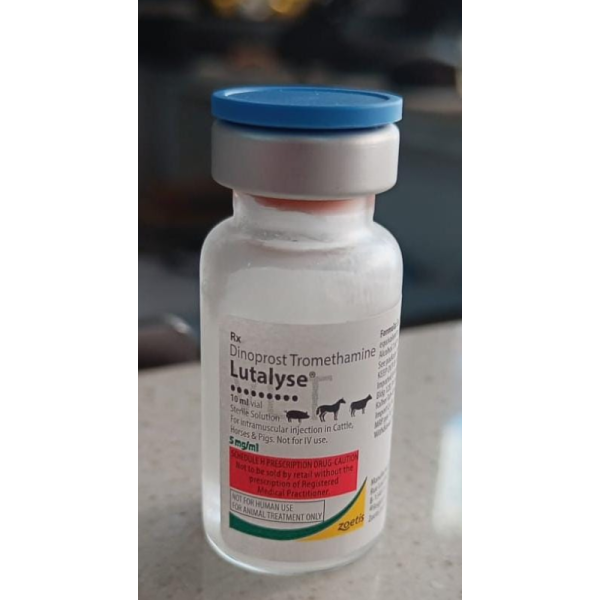 Lutalyse Injection - Zoetis