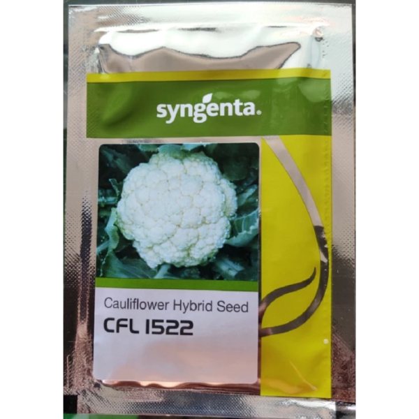 Hybrid Cauliflower Seeds - Syngenta