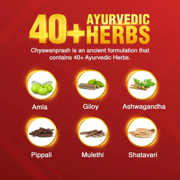 Chyawanprash - Dabur