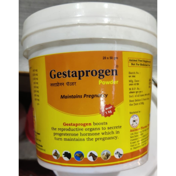 Gestaprogen Powder - Animax Pharma