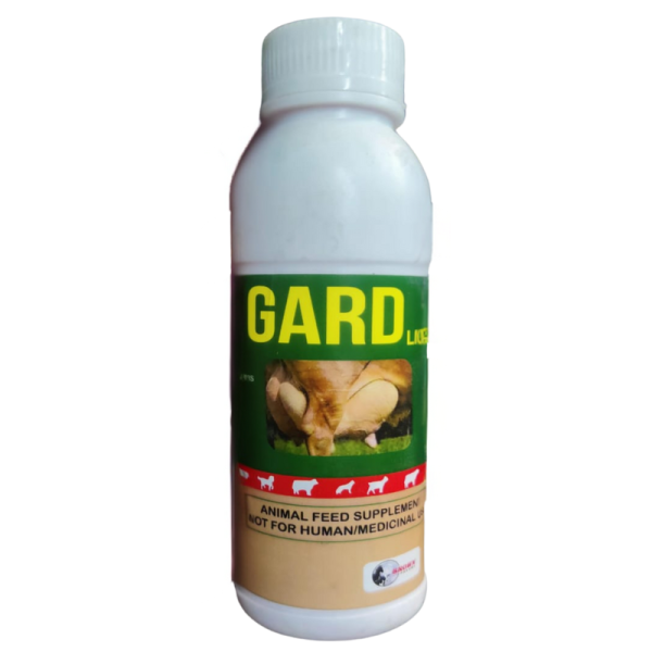 Af - Gard-Image