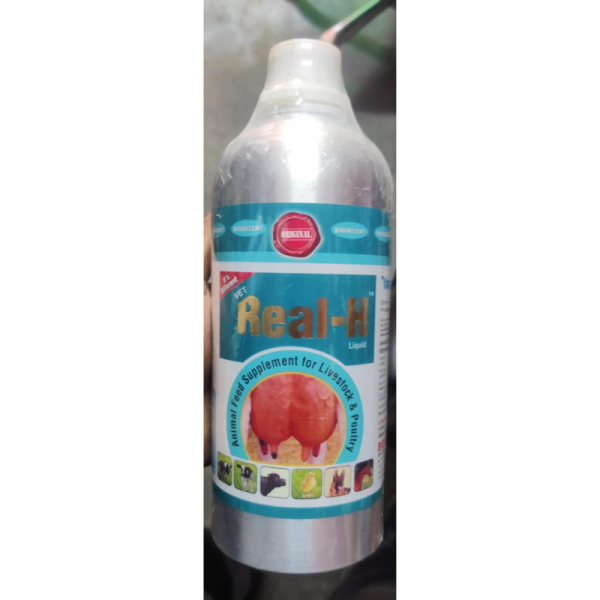 Real-H Liquid - BioDecent Pharma
