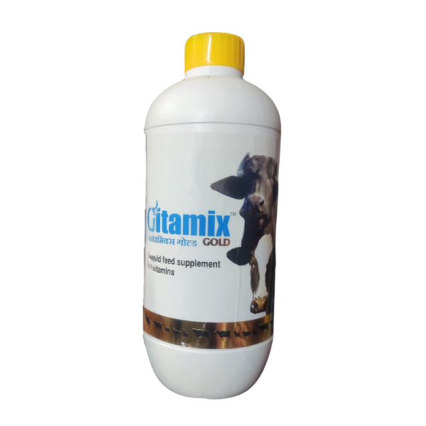 Vitamix Gold-Image