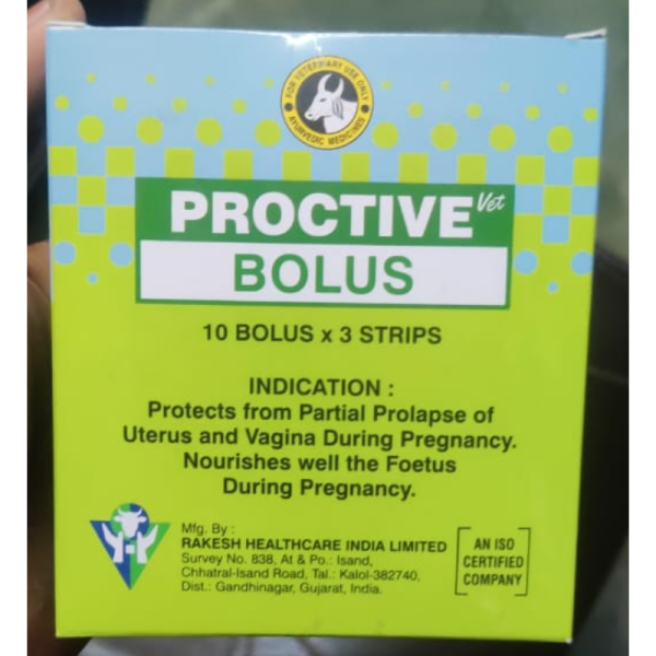 Proctive Vet  Bolus - Rajvaidya Shital Prasad & Sons