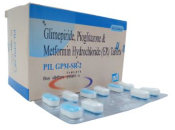 PIL GPM SR 2-Image