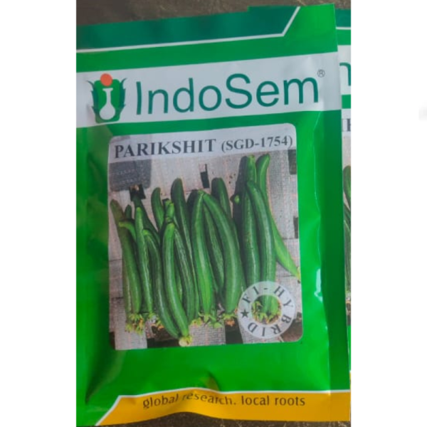 Hybrid Sponge Gourd Seeds - IndoSem