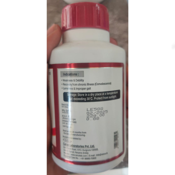 Mecovet - XL Syrup - Carus Laboratories Pvt. Ltd
