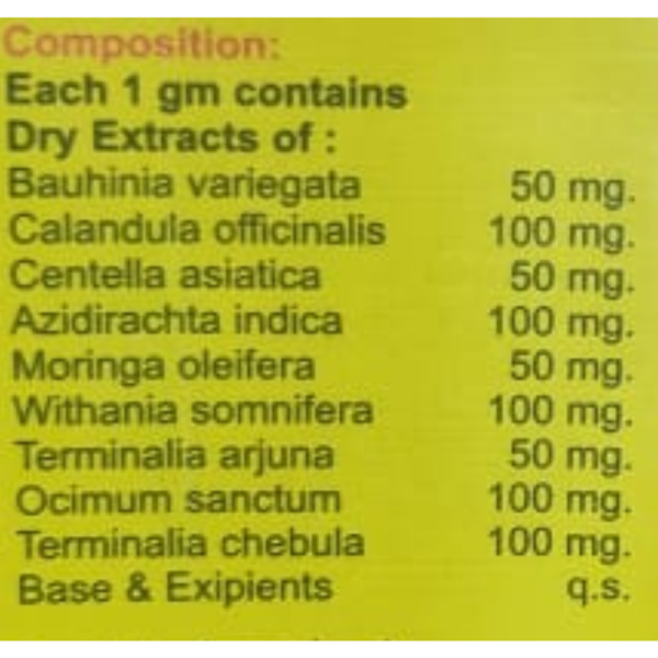 Healozil - Rajshree Supplements