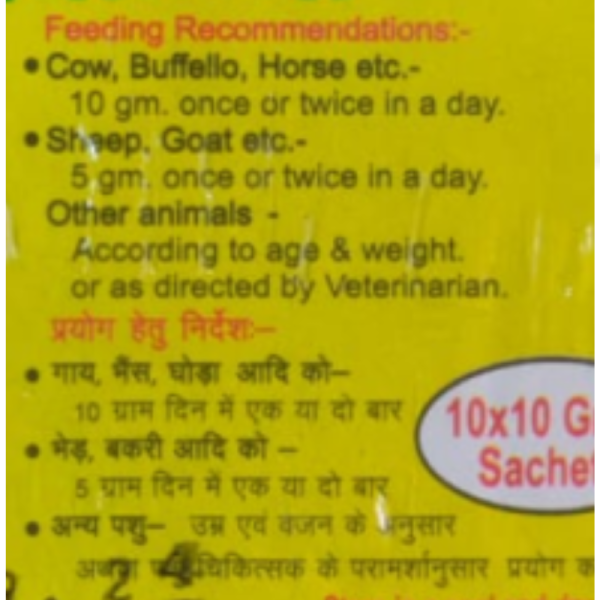 Healozil - Rajshree Supplements
