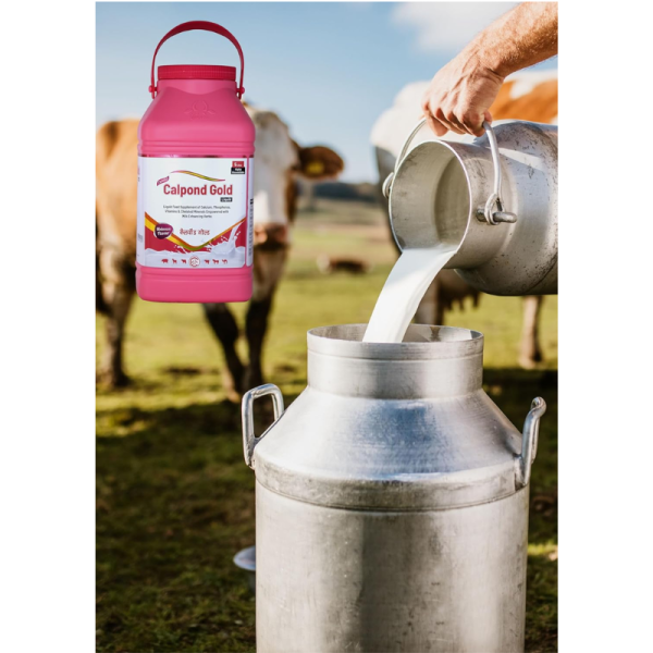 Calpond Gold - Carus Laboratories Pvt. Ltd