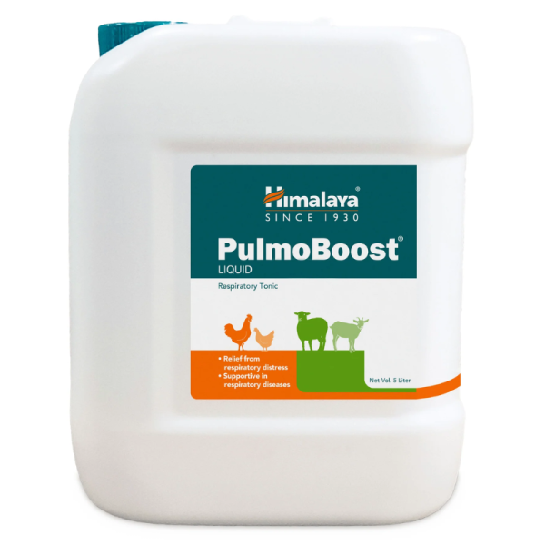 PulmoBoost Liquid - Himalaya