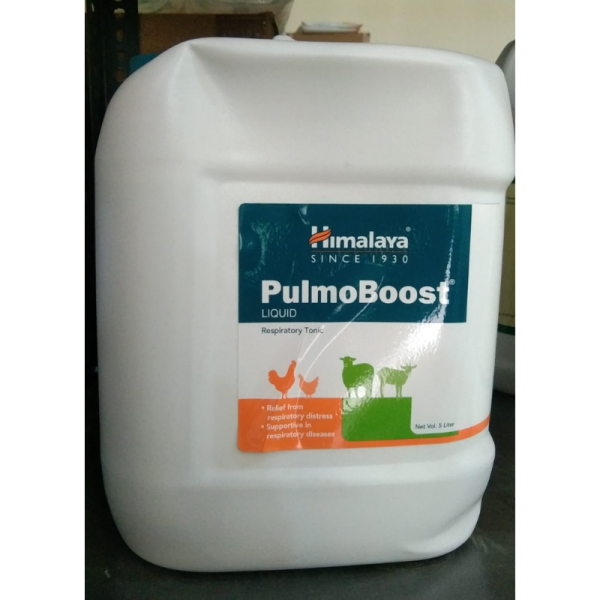PulmoBoost Liquid - Himalaya