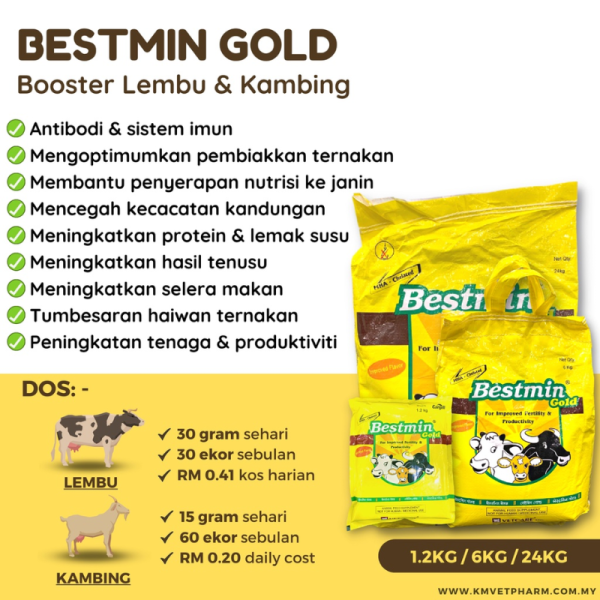 Bestmin Gold - VETCARE