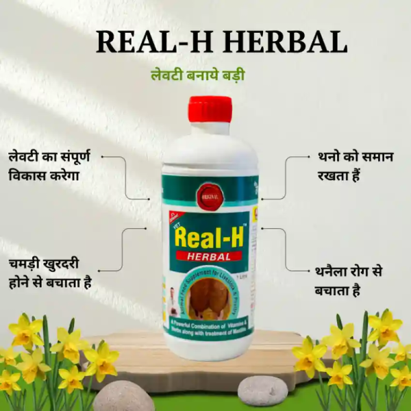 Real-H Herbal - BioDecent Pharma