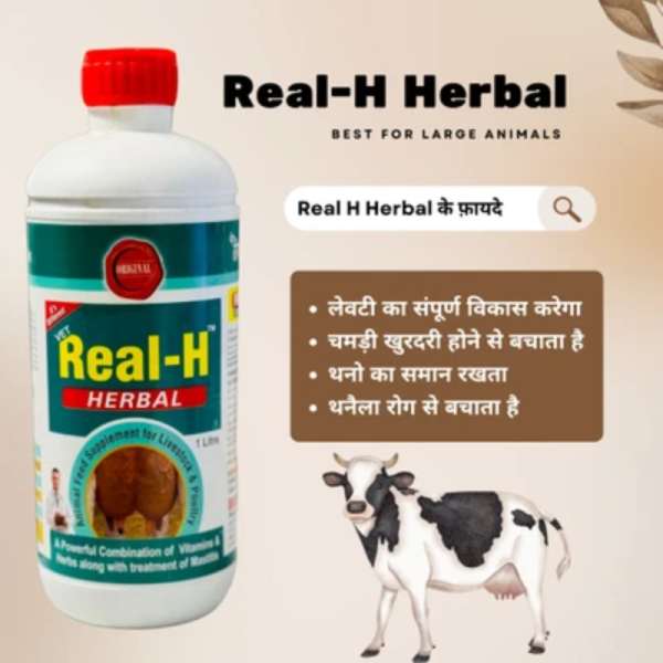 Real-H Herbal - BioDecent Pharma
