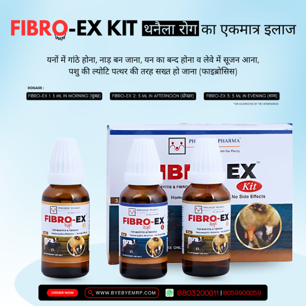 Fibro-Ex Kit - Philozoic Pharma