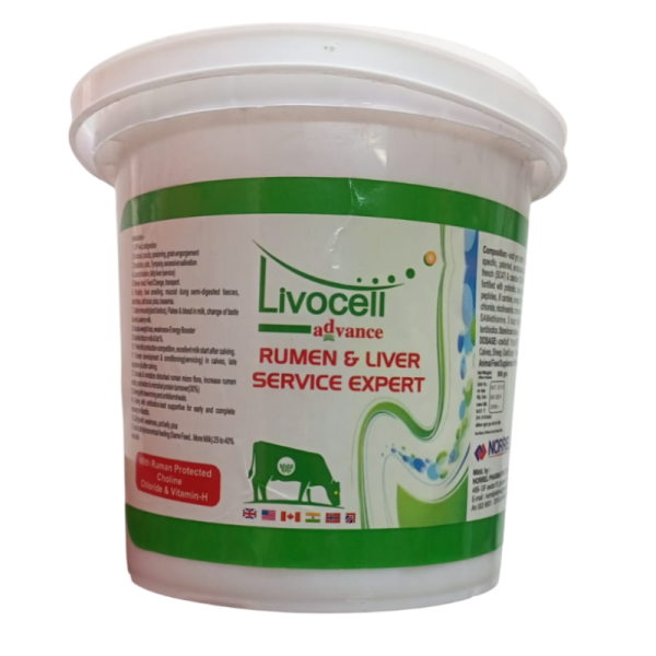 Livocell Advance-Image