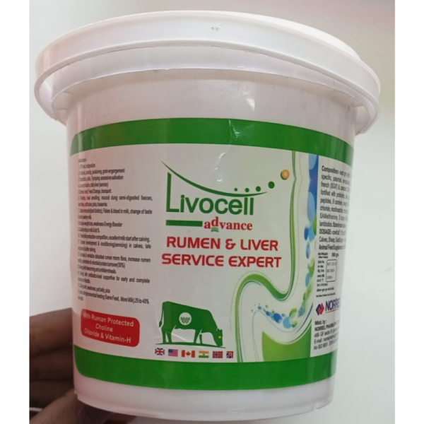 Livocell Advance - Sri Sri Tattva