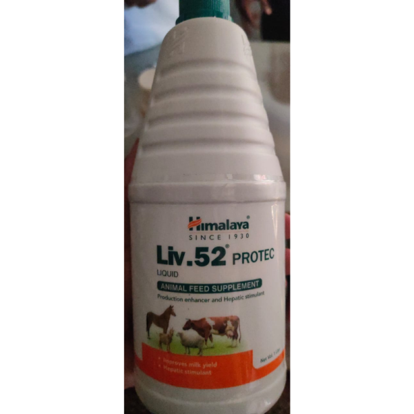Liv. 52 Protec Liquid - Himalaya