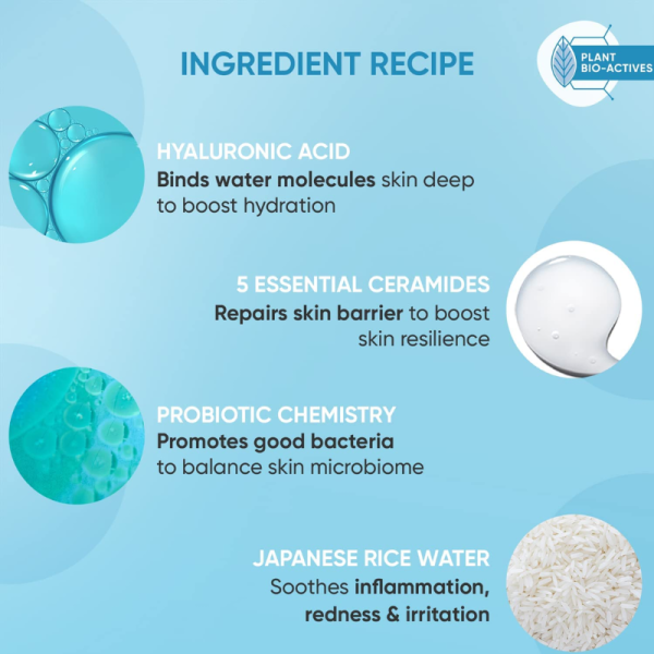 Moisturizer - Dot & Key