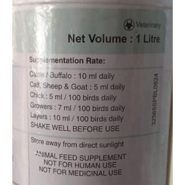 Vitamix Gold - Zydus Ahl