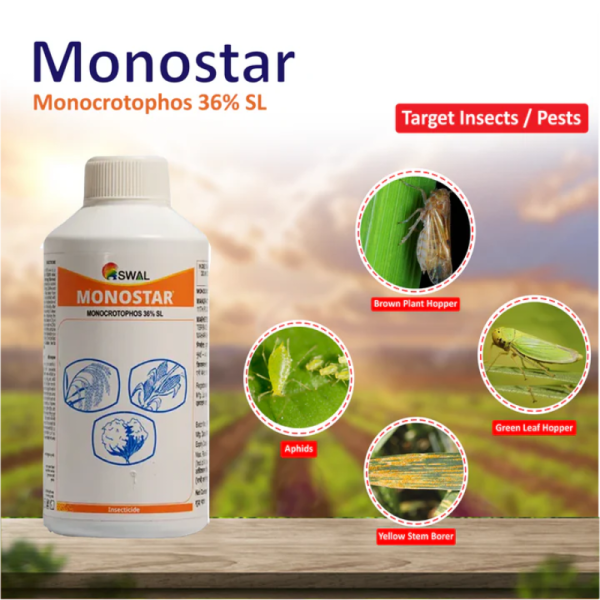 Monostar image 3
