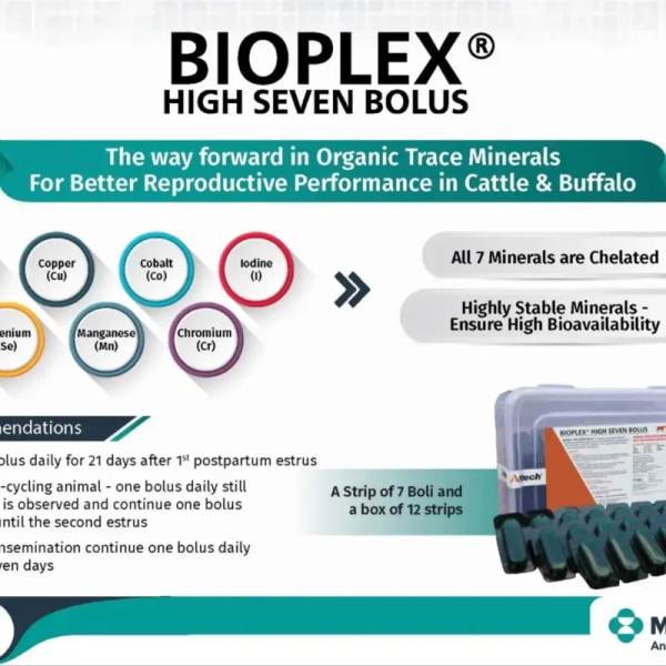Bioplex High Seven Bolus - MSD Animal Health