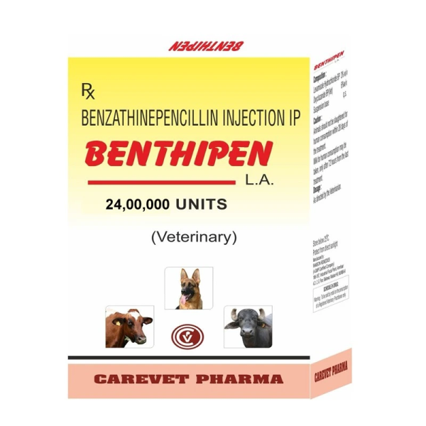 Benthipen Injection-Image