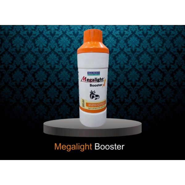 Megalight Booster-Image