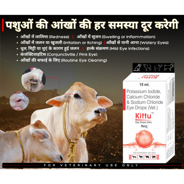 Kittu Eye Drops (Vet).-Image