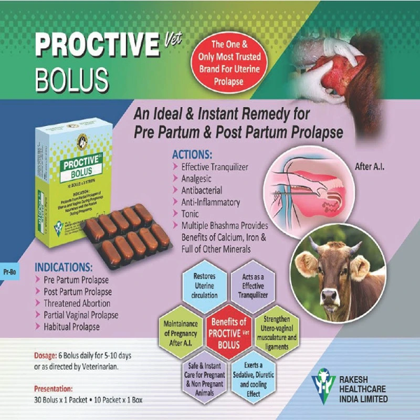 Proctive Vet  Bolus - Rajvaidya Shital Prasad & Sons