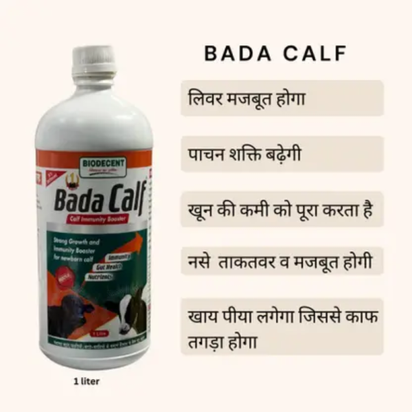 Bada Calf - BioDecent Pharma