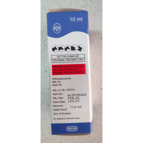 Gynarich Injection - Intas Pharmaceuticals Ltd