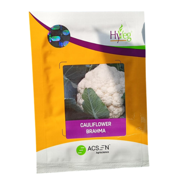 Brahma Cauliflower Seed Image