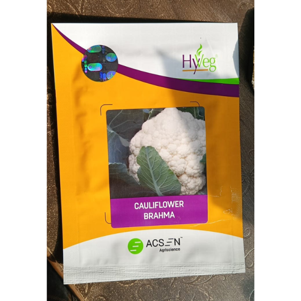 Brahma Cauliflower Seed image 2