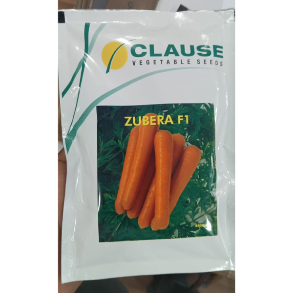 Carrot Seed - Clause