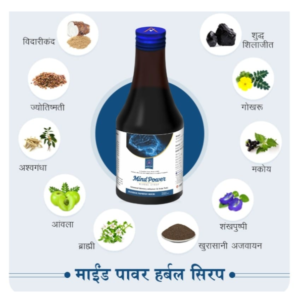 Mind Power Herbal Syrup - Vedalex
