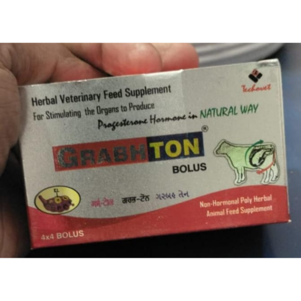 Grabhton Bolus - Techovet