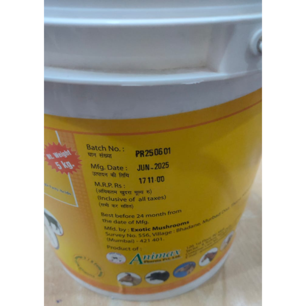 Puberaid Powder - Animax Health Care