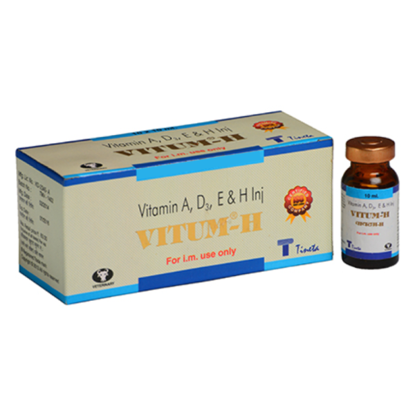 Vitum-H Injection-Image