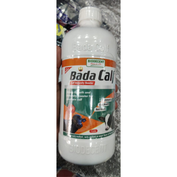 Bada Calf - BioDecent Pharma