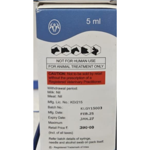 Gynarich Injection - Intas Pharmaceuticals Ltd