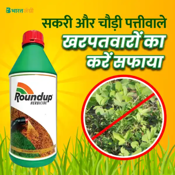 Roundup Herbicide image 2