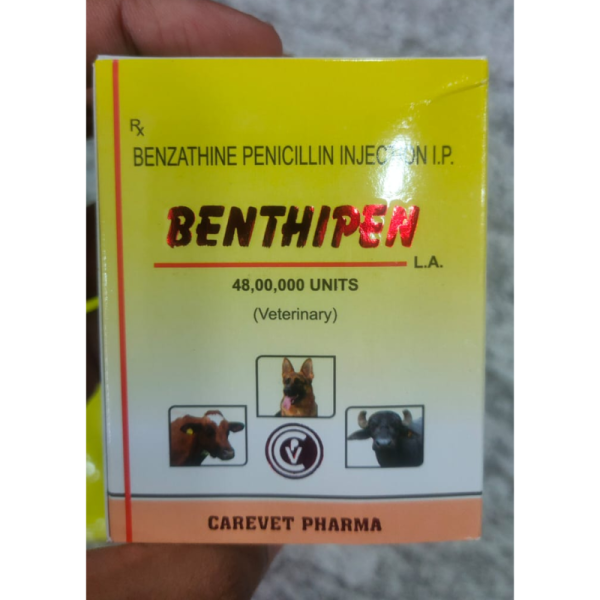 Benthipen Injection - Care Vet Pharma
