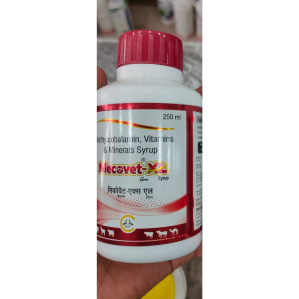 Mecovet - XL Syrup - Carus Laboratories Pvt. Ltd