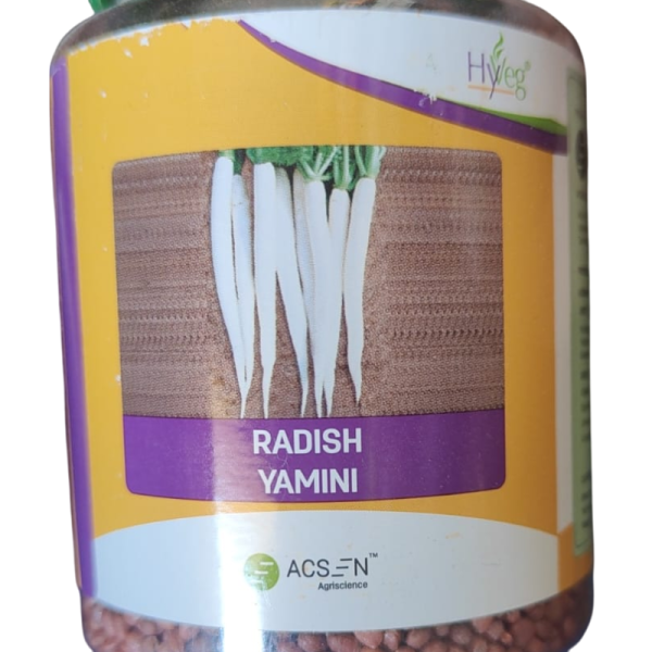 Radish Seed-Image