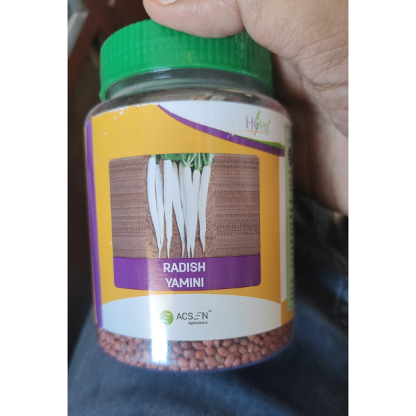 Radish Seed image 2