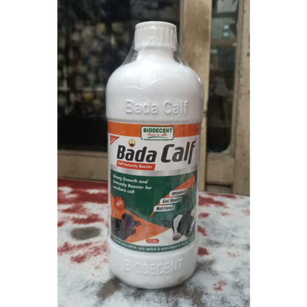 Bada Calf - BioDecent Pharma